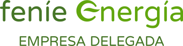 Fenie Energia